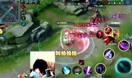 王者胖子爆料视频下载,揭秘游戏幕后秘密与精彩瞬间