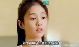 刘大锤爆料白鹿视频,揭秘娱乐圈幕后真相